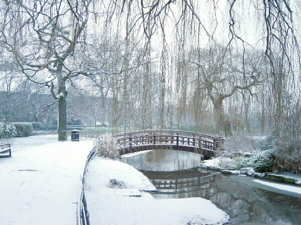 Foto av parti fra Regent's Park